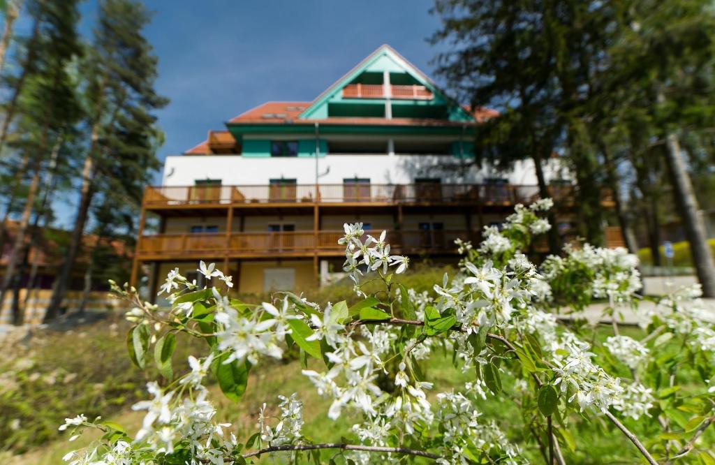 Fotografia z galérie ubytovania Apartmán Čtyřlístek Lipno v destinácii Lipno nad Vltavou
