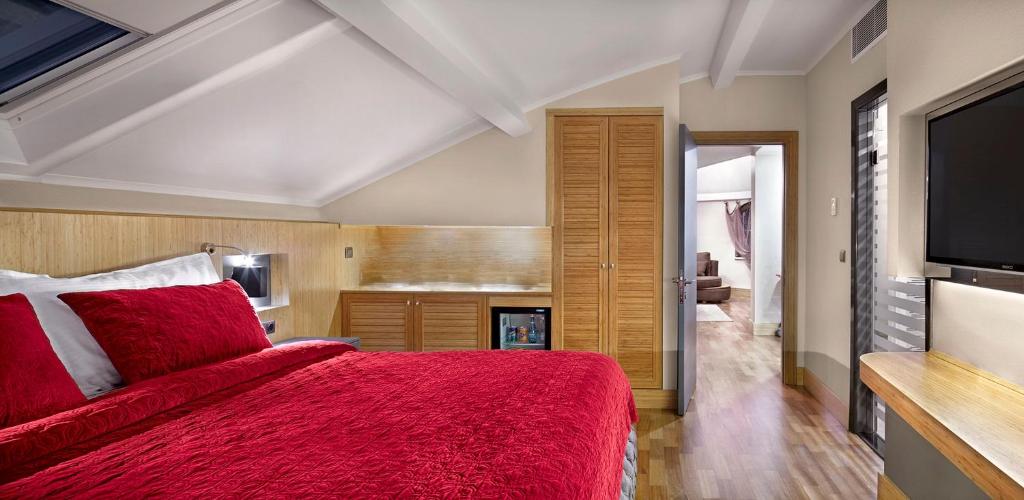 Ramada Plaza by Wyndham Eskisehir - Suite King Présidentielle - Fumer