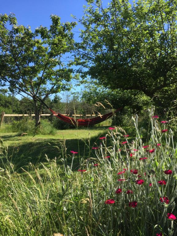 a field of flowers with a boat in the background at Loire Valley Llama Farm Stay in Lavernat