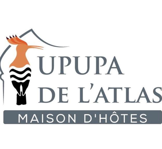 Certifikát, hodnocení, plakát nebo jiný dokument vystavený v ubytování Upupa de l’Atlas