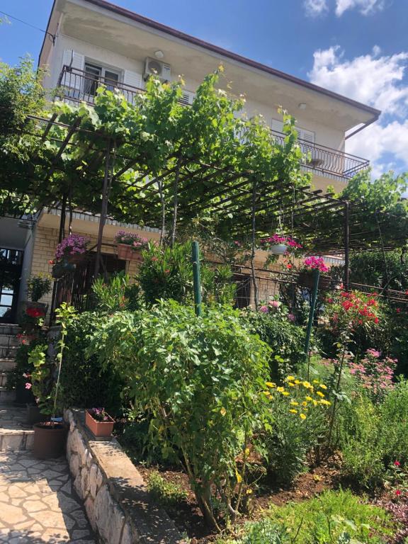 Zahrada ubytování Apartman Štefanija