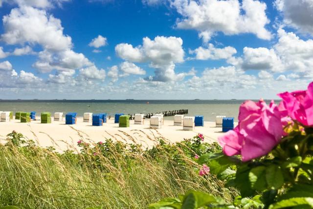 a beach with many trash cans and pink flowers at Haus Uthlande Uthlande Whg 29 Weitblick in Wyk auf Föhr