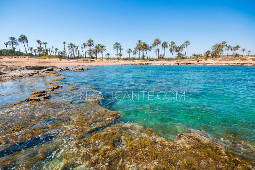 Booking.com: Appartement 5ª PLANTA TODO EXTERIOR PLAYA DEL ...