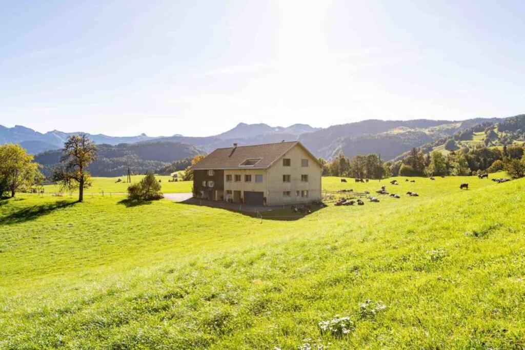 Příroda nedaleko apartmánu