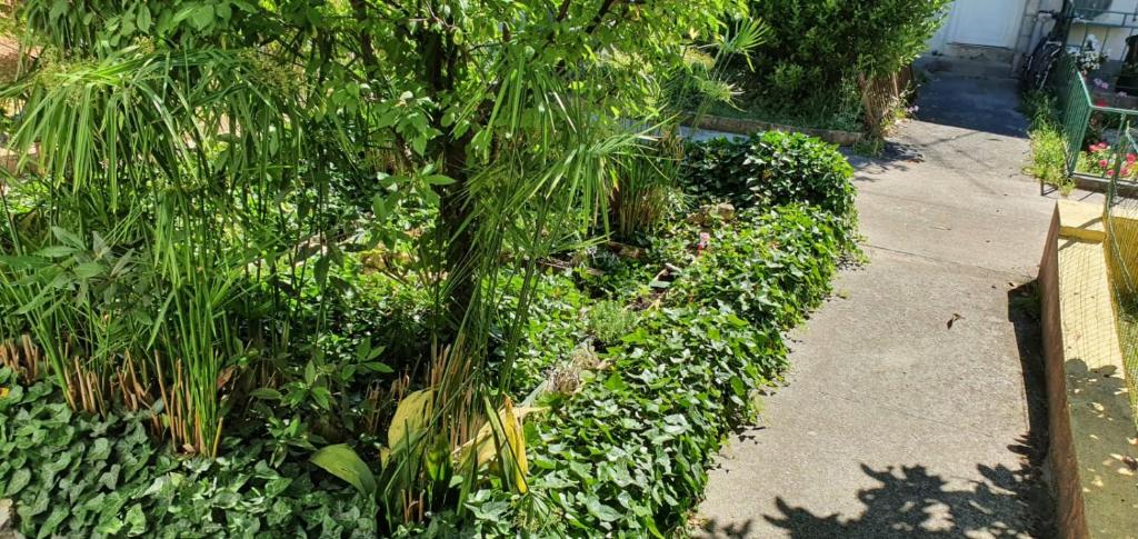 Guest House Roki & Diva - 19