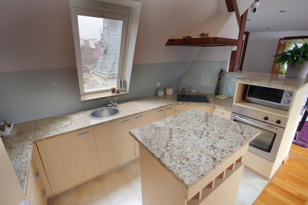 Kuchyňa alebo kuchynka v ubytovaní Victus Apartamenty, Apartament Florian
