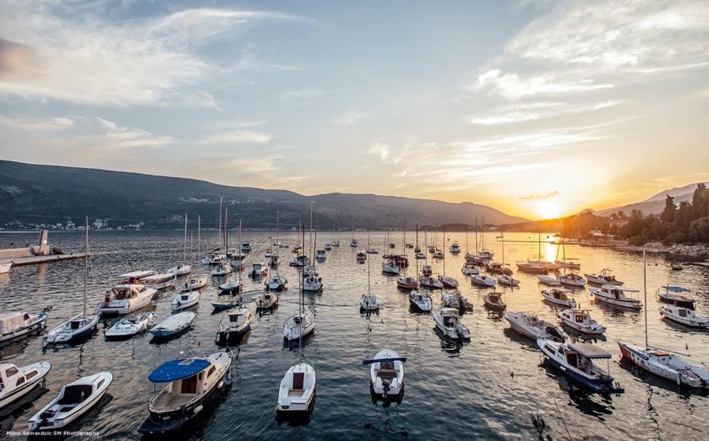 un grupo de barcos en un puerto deportivo al atardecer en Apartman Glicinija, en Herceg-Novi