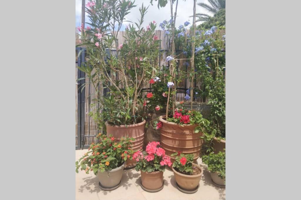 Fotografia z galérie ubytovania 250 metres from the sea an independent tiny house with a yard full of flowers! Spitaki the Little House! v destinácii Ierápetra