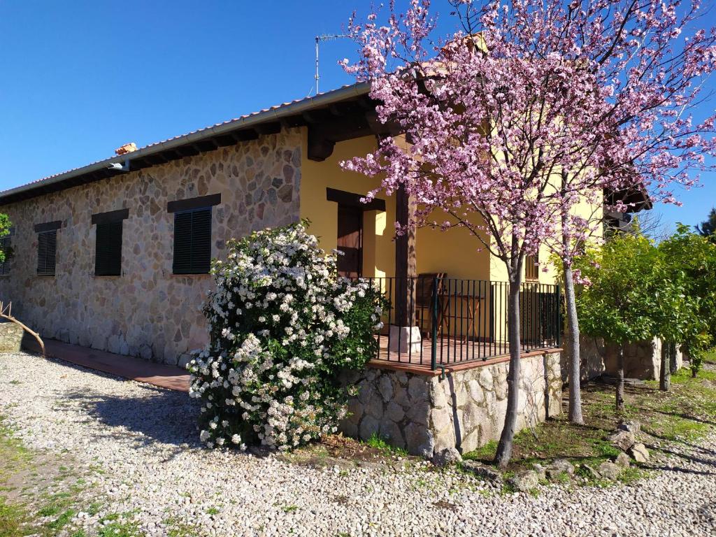 una casa con un árbol floreciente delante de ella en Pago de Yuste - Casa Rural Apartamentos en Cuacos de Yuste