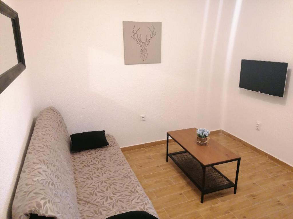 Televízia a/alebo spoločenská miestnosť v ubytovaní Apartments Amfora