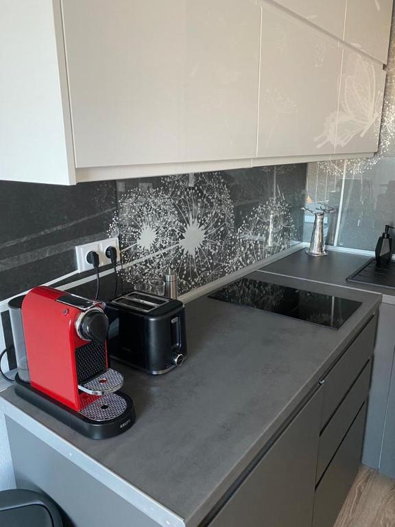 Kuchyň nebo kuchyňský kout v ubytování Apartmán Domenica 404