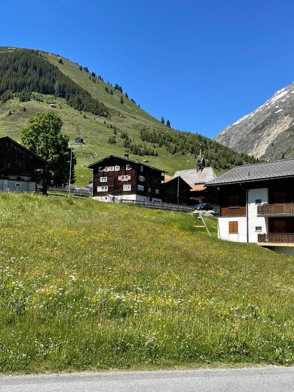 Příroda nedaleko apartmánu