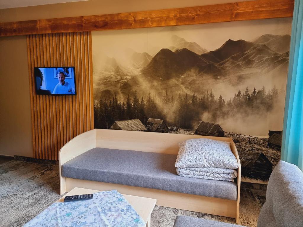 Televízia a/alebo spoločenská miestnosť v ubytovaní W Zakopanem Hej