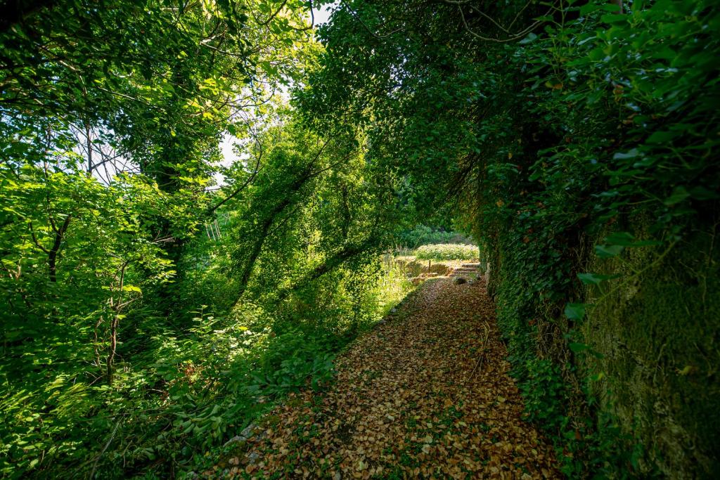 Paesaggio naturale nelle vicinanze del bed & breakfast