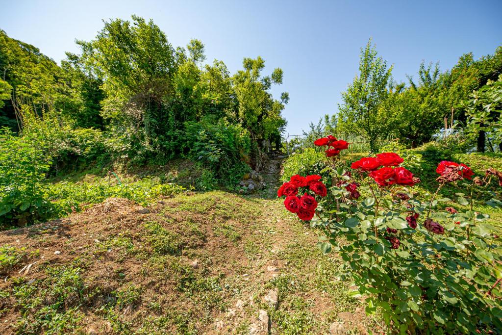 Giardino di Ethno house OSOBAK