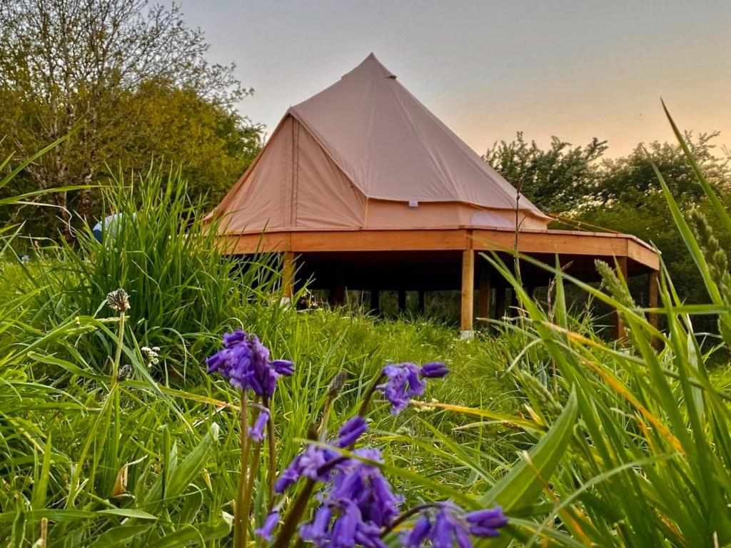 Bluebell Bell Tent - 20 Acres of Natural Beauty