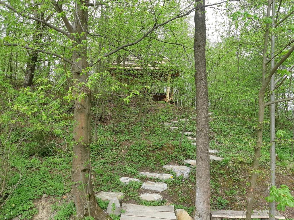 Vonkajšia záhrada v ubytovaní Beskid - Świątkowa