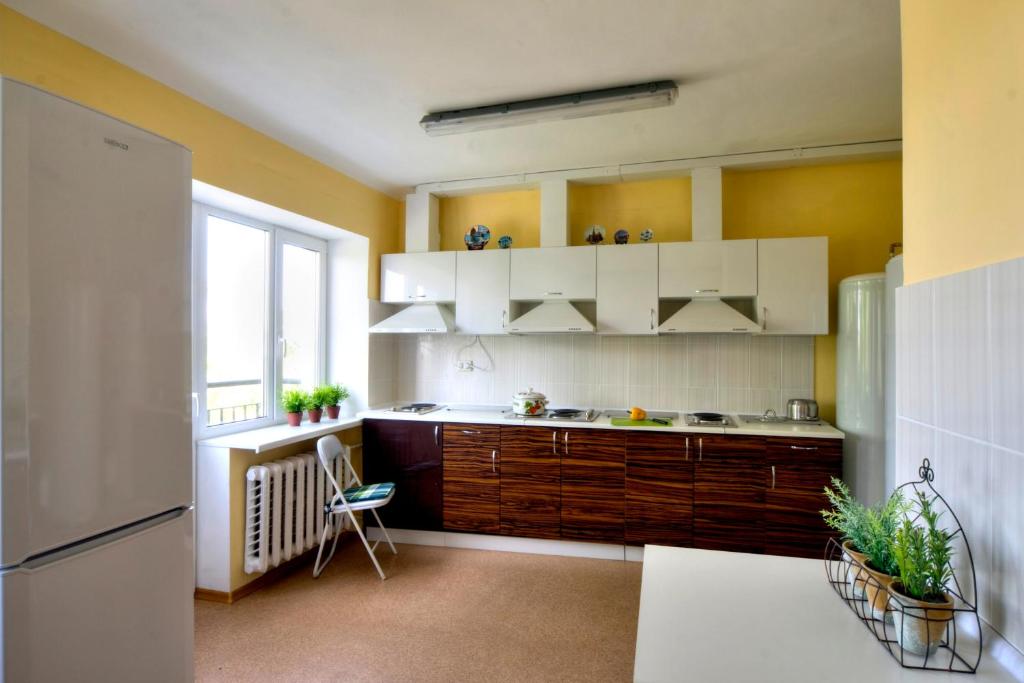 Kuchyň nebo kuchyňský kout v ubytování Podolski Hostel
