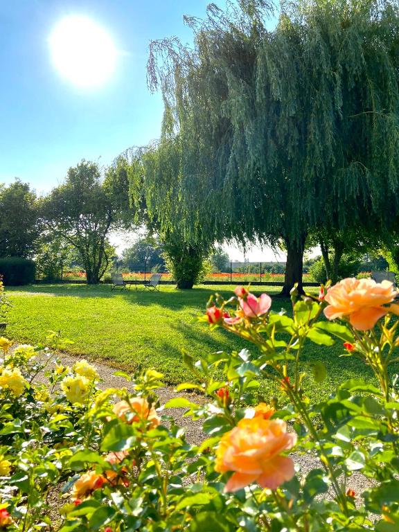 Zahrada ubytování Hotel l'Orée Des Vignes