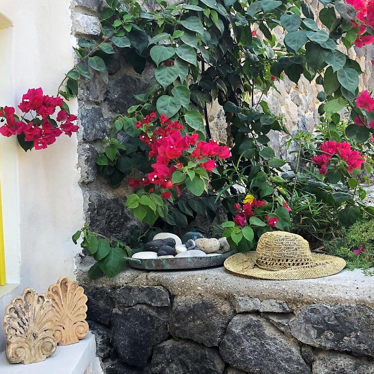 Zahrada ubytování Mantilida Villa