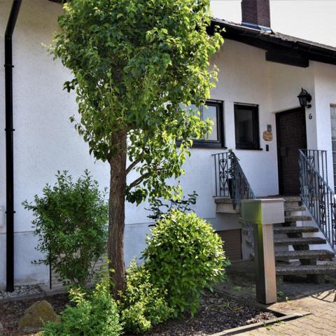 a house with a tree in front of a house at FeWo 4 - Erpolzheim in Erpolzheim