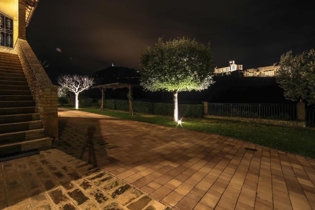 La Casa Tra Gli Ulivi - 14