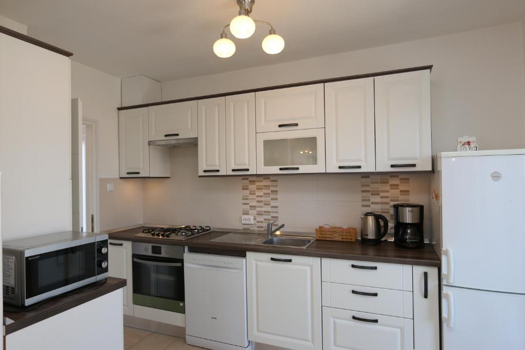Kuchyňa alebo kuchynka v ubytovaní Apartment SKVICALO