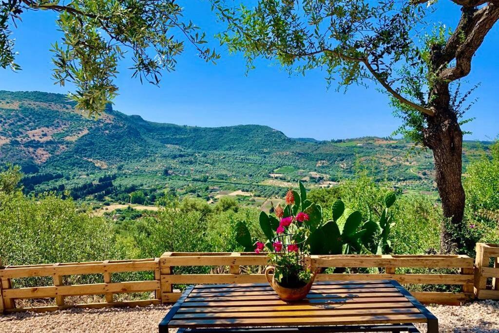 uma mesa de madeira com um vaso de plantas em cima em Tiria House Bosa - Casa Vacanze em Bosa