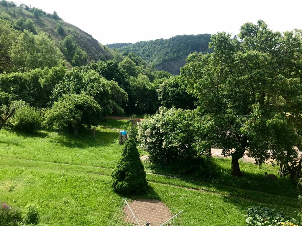 Příroda nedaleko apartmánu