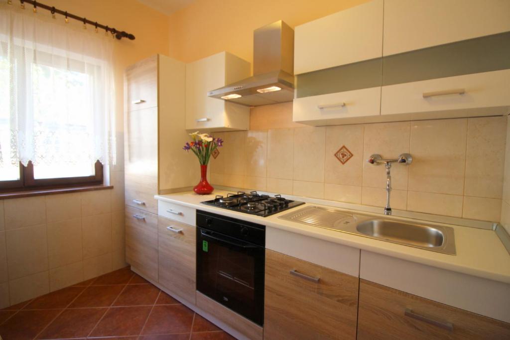 Kuchyň nebo kuchyňský kout v ubytování Apartment Liliana near beach