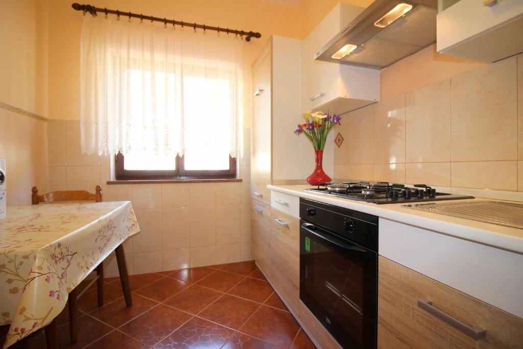 Kuchyň nebo kuchyňský kout v ubytování Apartment Liliana near beach