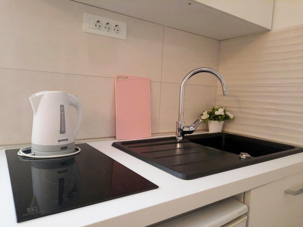 Kuchyň nebo kuchyňský kout v ubytování Studio Apartments Regina