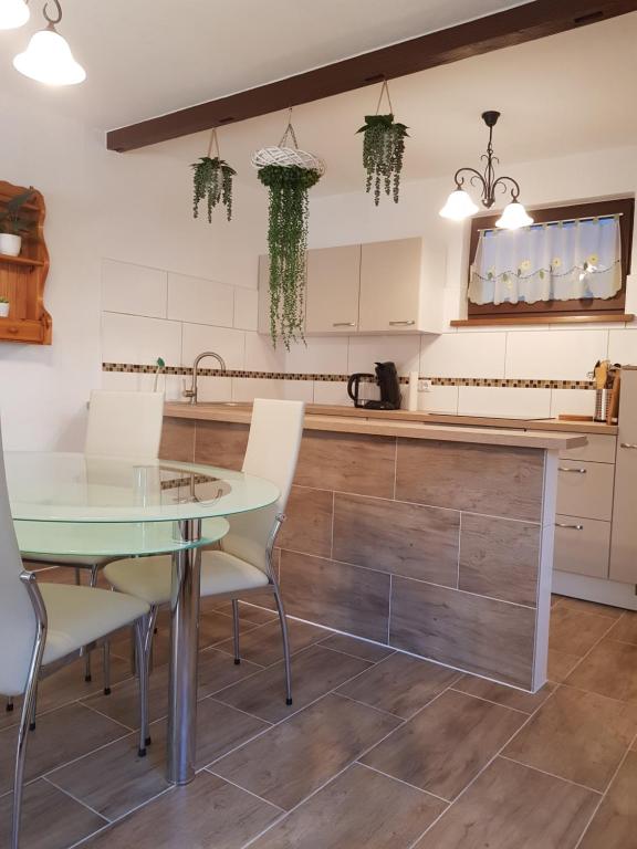 Kuchyň nebo kuchyňský kout v ubytování Ferienwohnung Greilitz beim Forstsee