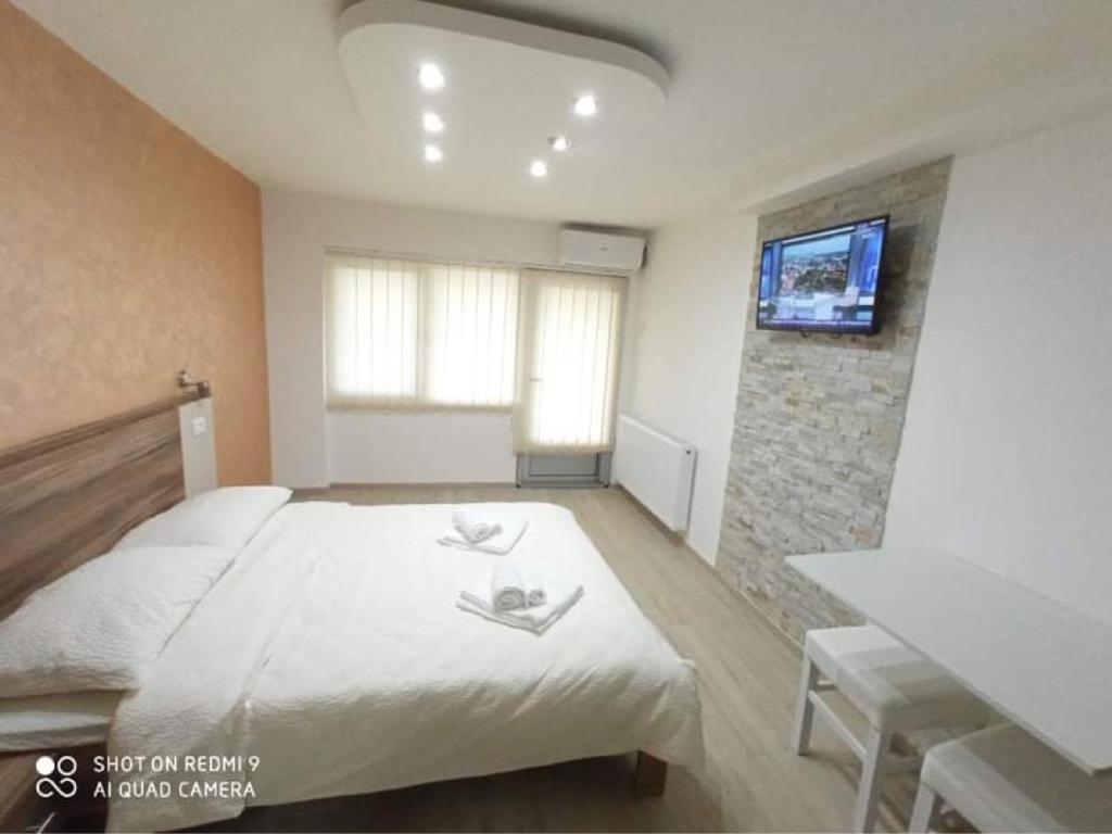 a bedroom with a bed and a tv on a wall at Studio Dunja in Soko Banja