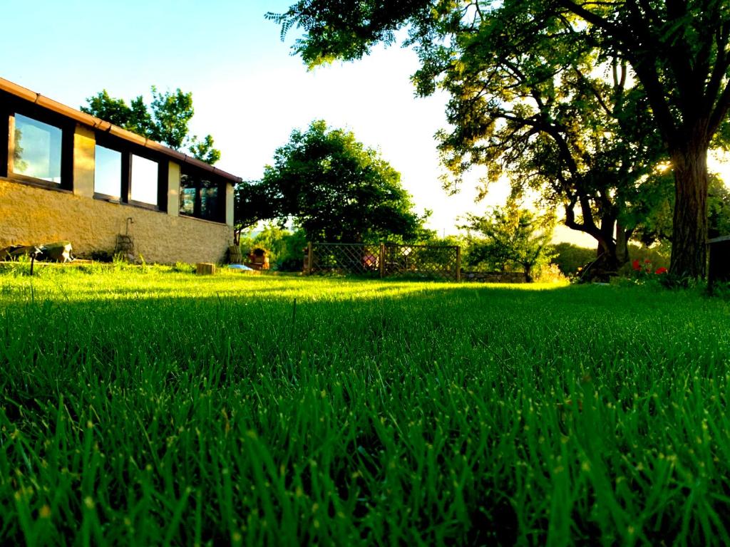 een veld van groen gras naast een gebouw bij S'Istentale in Porto Torres