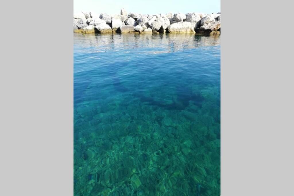 Príroda v okolí apartmánu