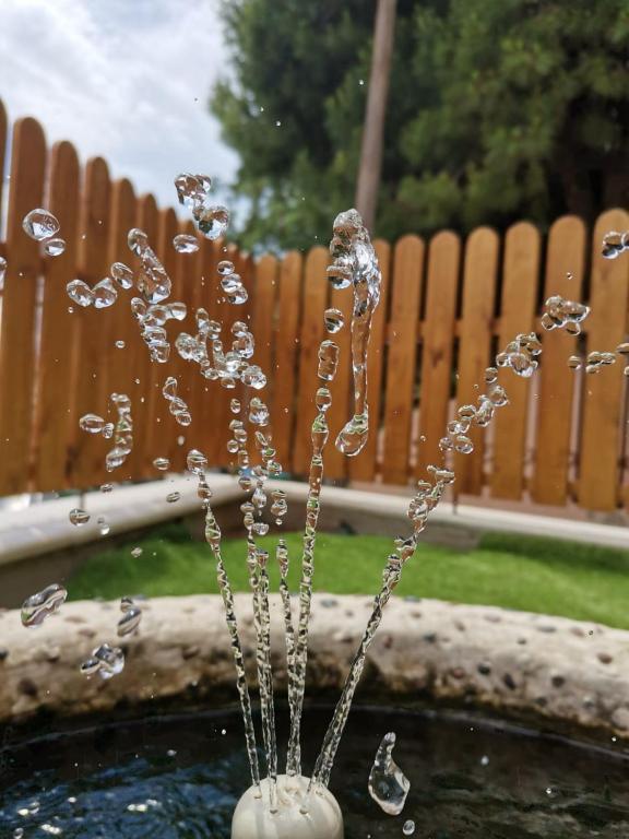 Vonkajšia záhrada v ubytovaní Evris House oasis