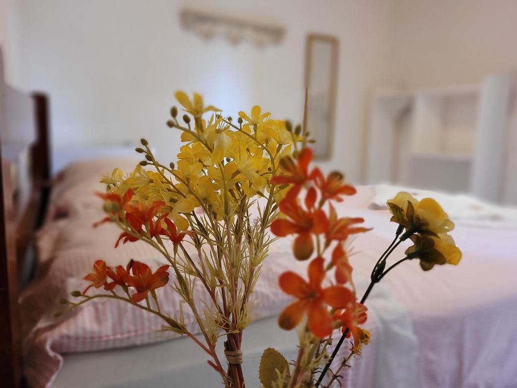  Suíte próximo ao centro histórico 6