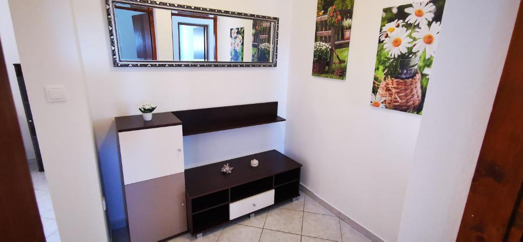 TV a/nebo společenská místnost v ubytování Apartments Marin, Kolan, Mandre, Pag