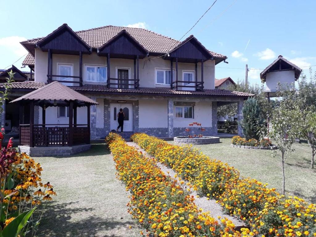 Casa Avi