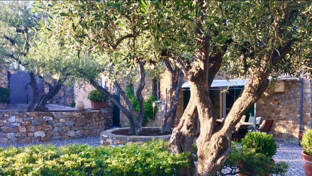 Villa della Pietraにある庭