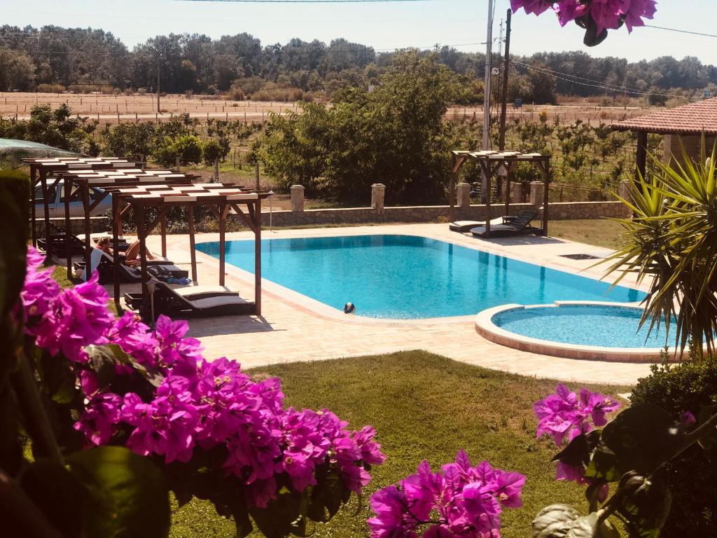 una piscina con una mesa y flores púrpuras en Apartments Ada Bojana en Ulcinj