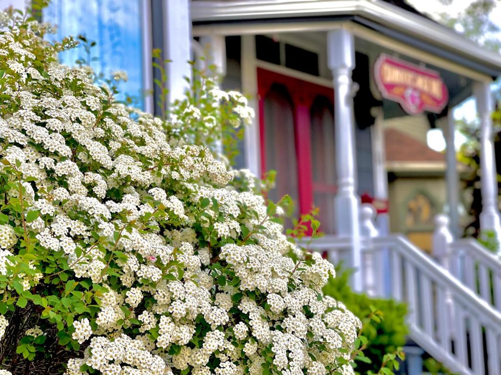 Giardino di Charlotte's Rose Inn