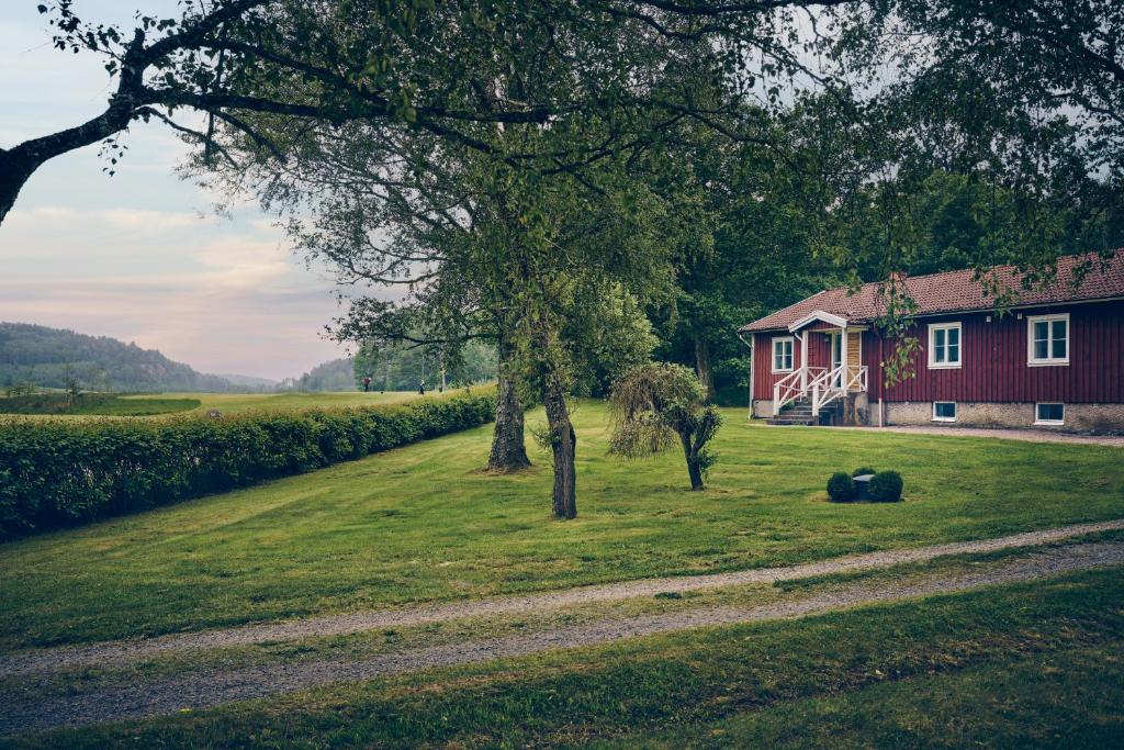 une maison rouge au milieu d'un champ à côté d'un arbre dans l'établissement Holma Stångenäs Golf Bed & Breakfast, à Brastad