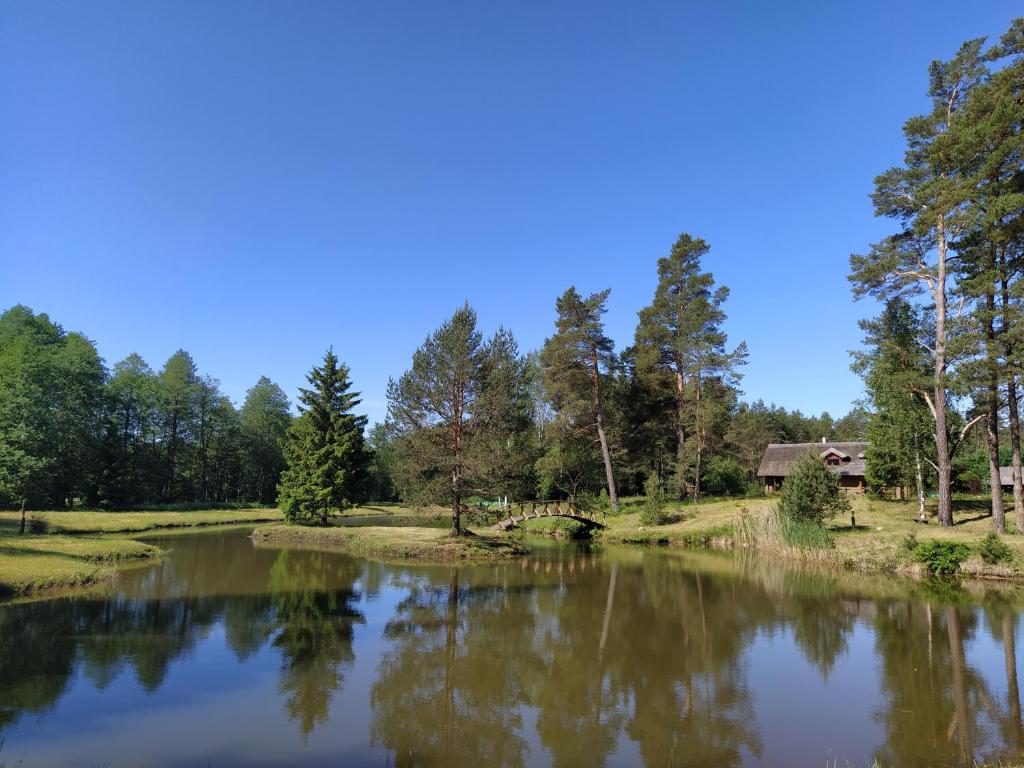 a pond in the woods with a house in the background at Trakų vienkiemis in Daumilai