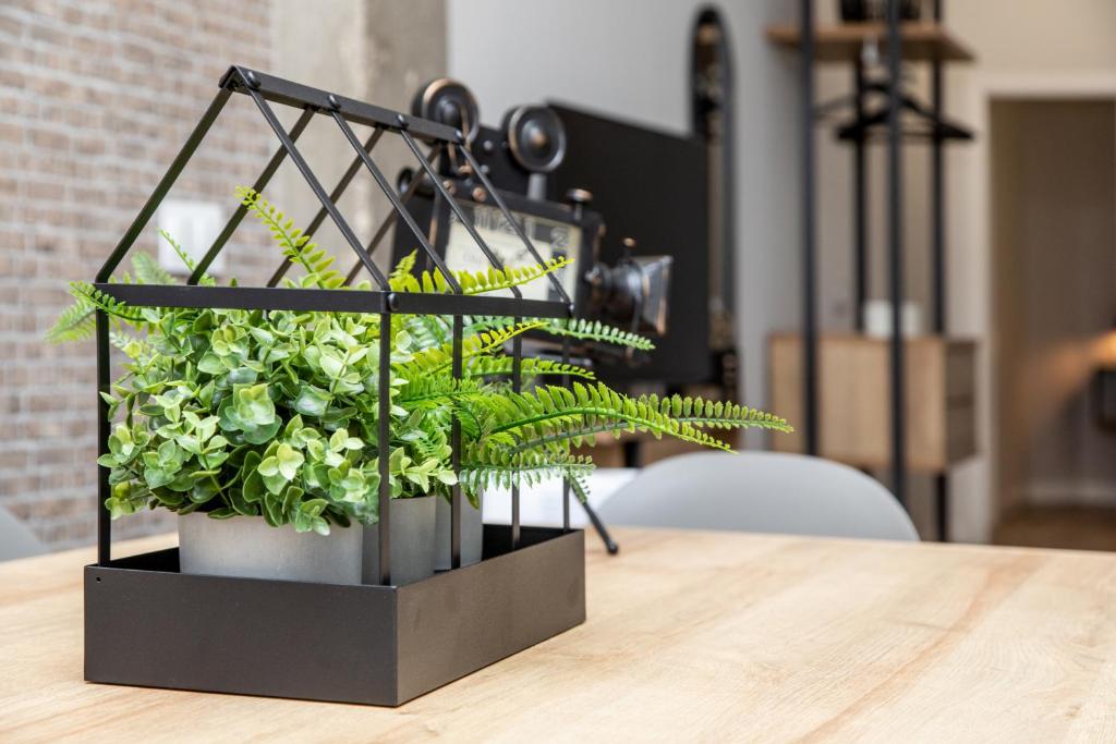 APARTAMENTOS AVENIDA DE AMERICA - 8