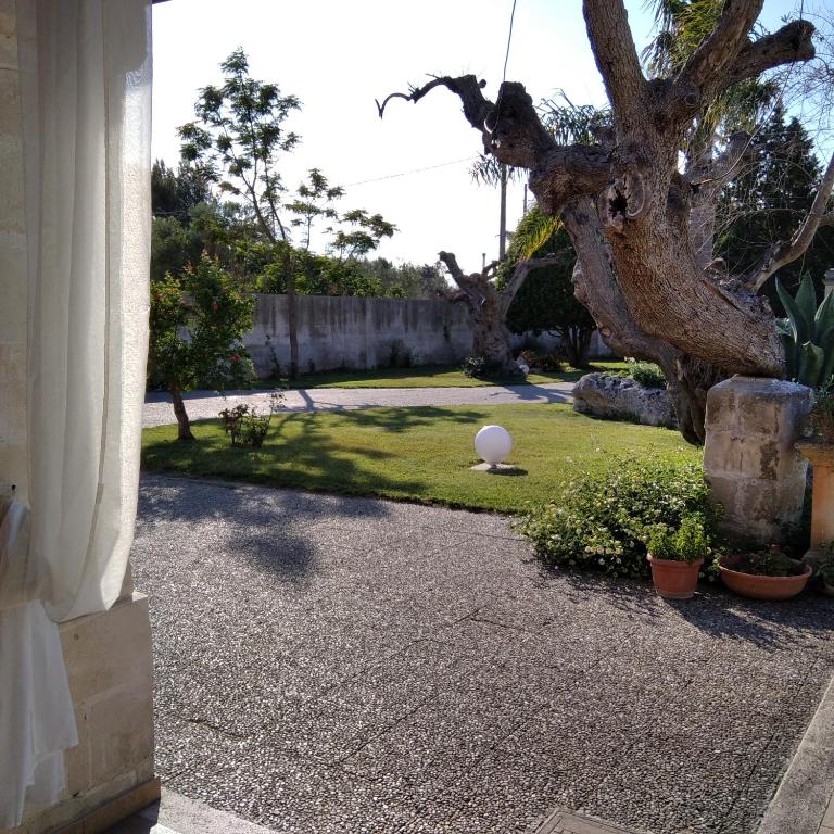 Zahrada ubytování Villa Federico