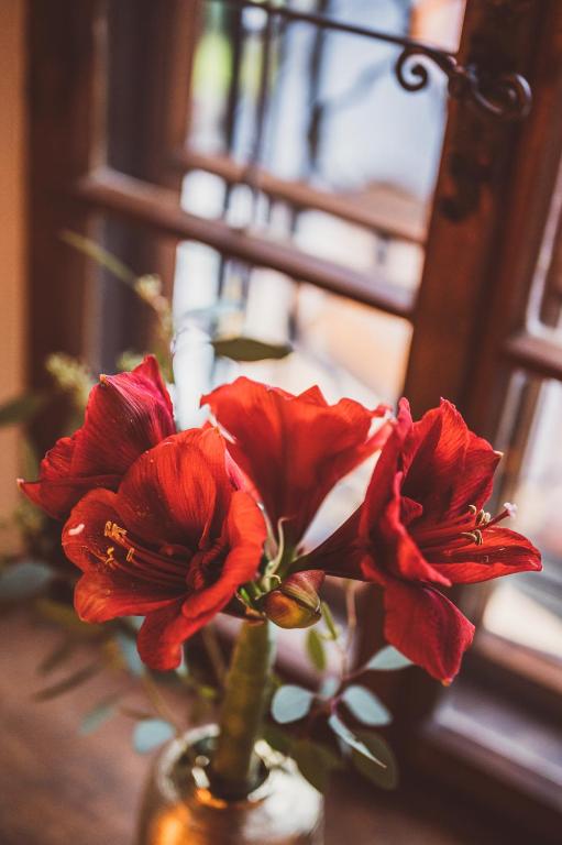 a group of red flowers in a vase on a table at Heritage Hotel Hallstatt in Hallstatt