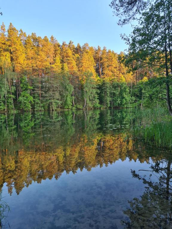 Príroda v okolí dovolenkového domu