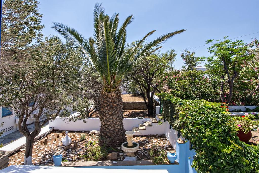 Zahrada ubytování Irini Studios in Tinos